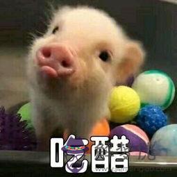 2星座男吃醋的后果，12星座男護妻狂魔排行"