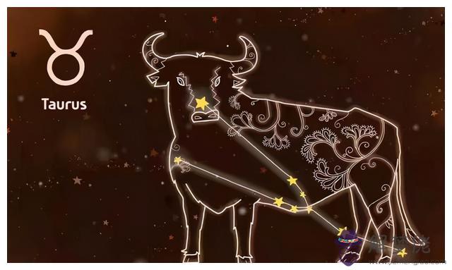 怎樣測自己的上升星座，怎樣知道上升星座