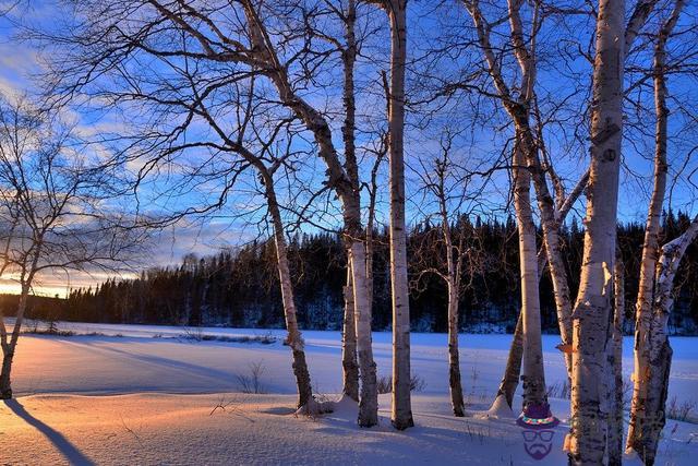 2星座運勢每日查詢，12生肖運勢2022