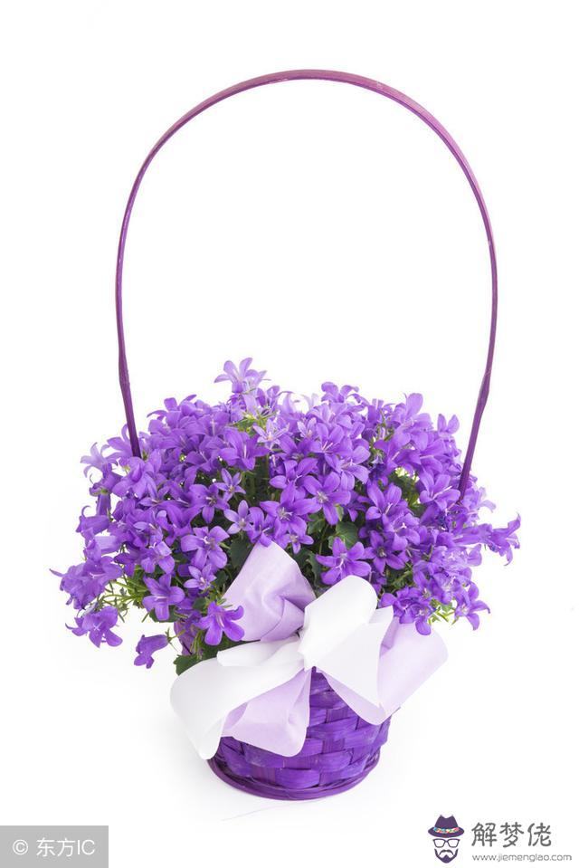 十二星座學霸排名前五名，語文星座學霸