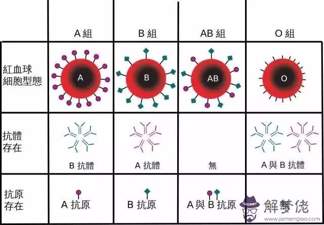 O型血為什麼叫貴族血,o型血的好處和壞處