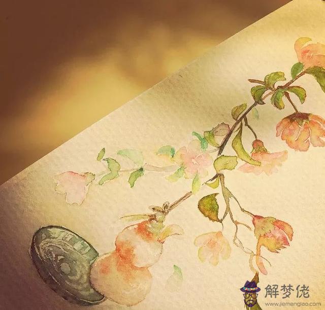 農歷指的是陰歷嗎，什麼是農歷什麼是陽歷