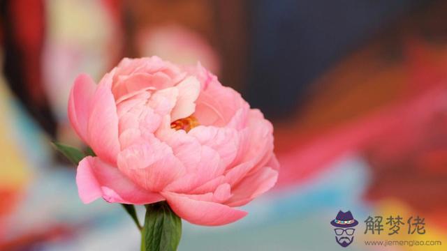 獅子男注定愛上的星座，能讓獅子男糾纏的女人