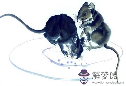 972屬鼠2022年全年運程，72年屬鼠49和50歲命運"