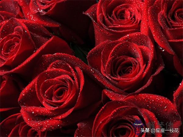 雙魚男開始動情的細節,雙魚男最忍不了哪種撩