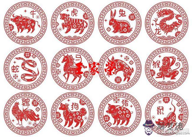 十二生肖每日小黃歷，每日小黃歷早知道