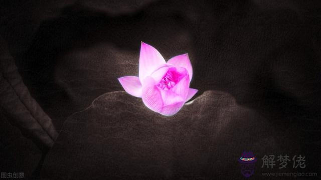 命中注定在一起的星座，十二星座注定被誰吸引