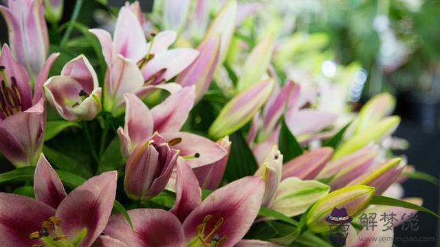 天生富貴命的星座男，能力最強的星座女排行