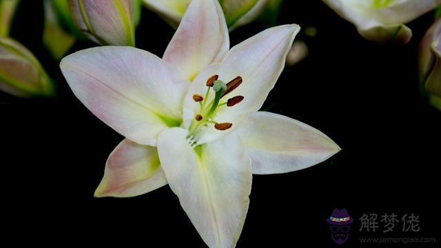 天生富貴命的星座男，能力最強的星座女排行