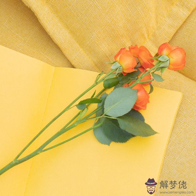 測試兩個人的匹配程度，姓名測試兩人的契合度