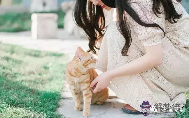 免費算命測姻緣，免費算個人感情婚姻