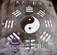 易經十二星座解釋，十二星座代表的明星