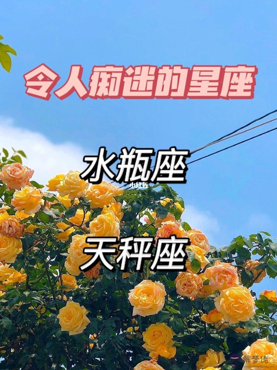 水瓶座女生性格水瓶座女孩，水瓶座女孩性格總結
