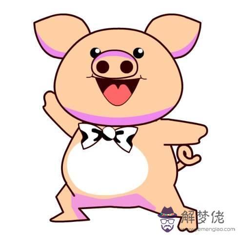 生肖豬明年運勢1971年 生肖豬明年運勢1971年