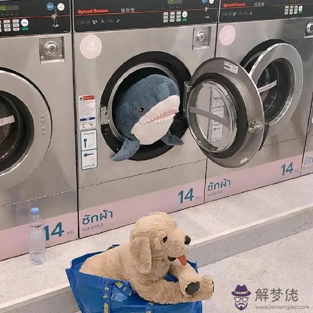 天蝎座今日的運勢如何