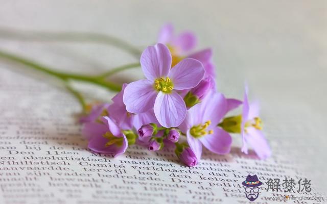 國慶節假日這三個生肖運勢最好