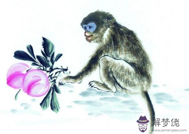 屬猴人2月感情運勢