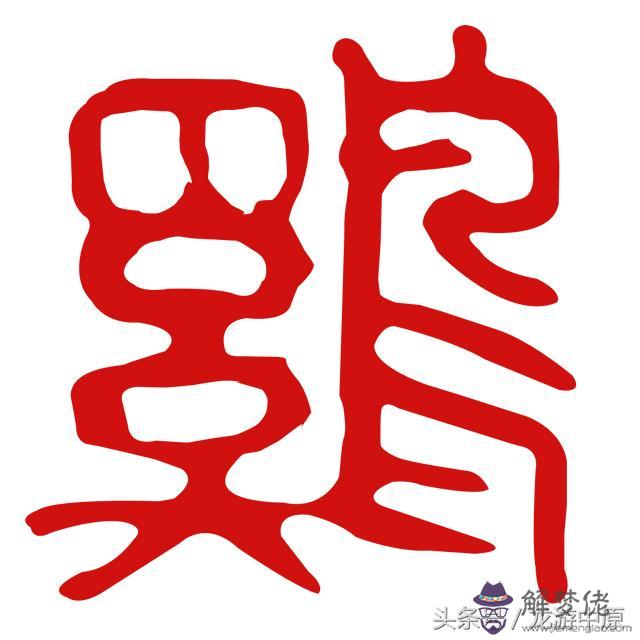 屬雞的人虎年運勢