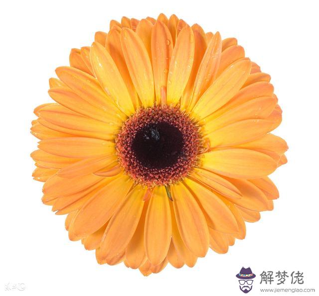 鼠人遇牛年2022年4月運勢如何