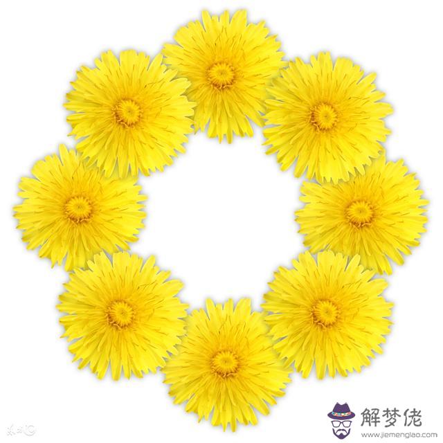 鼠人遇牛年2022年4月運勢如何