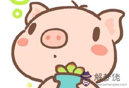 十二生肖一九年及每月運勢