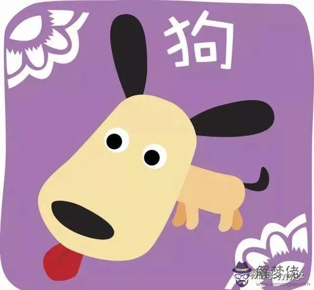 豬年運勢命寓意怎樣的簡單介紹