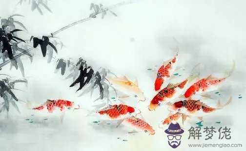 2、夢見魚5種征兆要發財:夢見魚是什麼預兆?