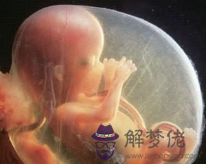 1、懷男孩有什麼特征最準:孕婦懷男孩有什麼特征？