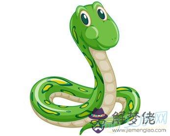 3、屬蛇人一輩子的克星:蛇與什麼屬相相克