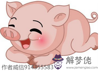 3、男豬婚配:豬男，牛女相配嗎？