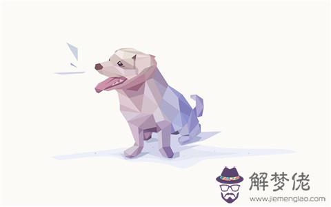 1、狗與豬婚配屬相合不合:屬狗和屬豬什麼屬相好