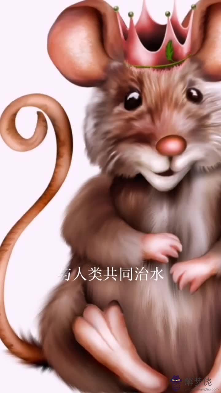 1、十二屬相婚配:屬虎的和什麼屬相最配，屬虎的屬相婚配表大全