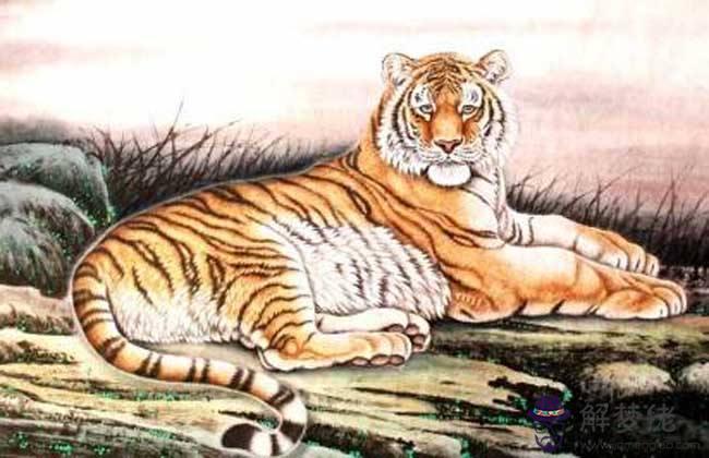 1、虎配屬蛇的婚配屬相是什麼:屬蛇和屬虎能婚配嗎？有什麼講究嗎？