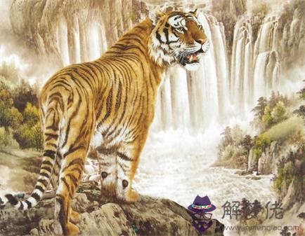 3、虎配屬蛇的婚配屬相是什麼:生肖蛇和生肖虎的婚配如何