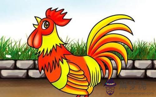 2、雞和雞婚配屬相:屬雞婚配表，雞男跟什麼屬相最配