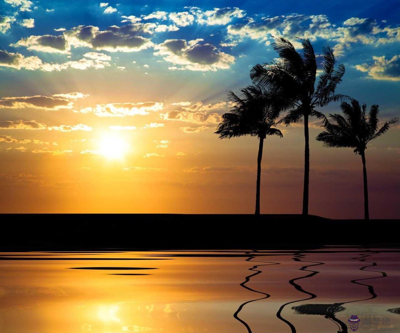 2、屬豬不適合婚配屬相:屬豬和什麼屬相最配?和什麼屬相不配?