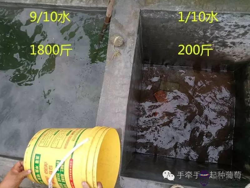 1、成品波爾多液可以婚配嗎:波爾多液怎樣配制效果好？