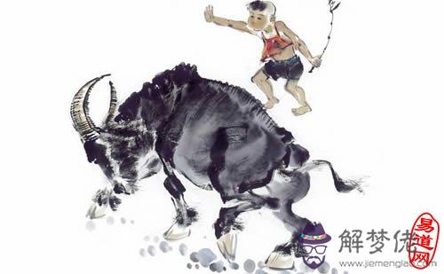 3、女屬大龍與男屬牛婚配:屬牛男人和屬龍女人合婚麼？