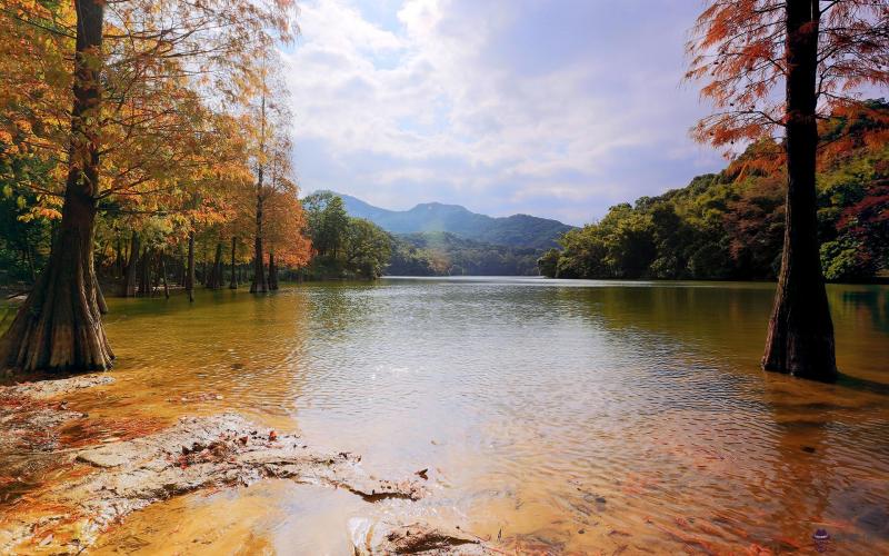 3、龍豬婚配遲遲不懷孕是為啥:《紅樓夢》那些通房丫頭，為何都不懷孕？