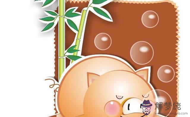 2、年男豬婚配屬相:屬豬人配什麼屬相人才會幸福