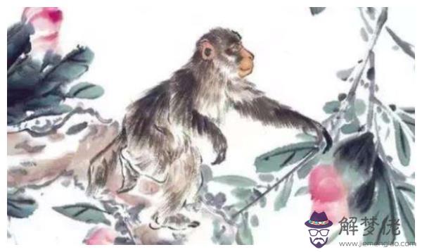 2、屬牛的人和屬猴的人婚配好不好:屬猴和屬牛的配嗎