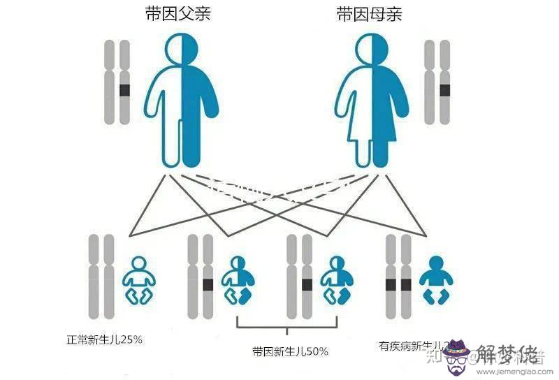 2、隨機婚配夫妻有多少相同的基因:人都具有多少相同基因