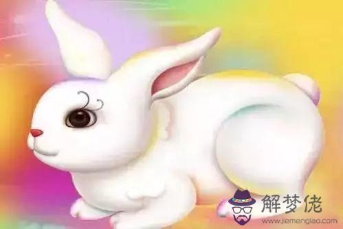 2、兔子能跟屬雞的人婚配會不會相沖:屬雞和什麼屬相相沖？教你如何化解和屬兔相沖