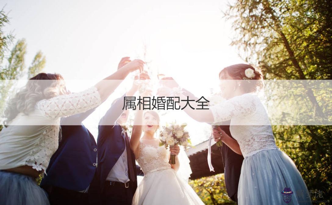 1、屬相狗男和雞婚配可以嗎:男屬屬狗配婚好嗎？