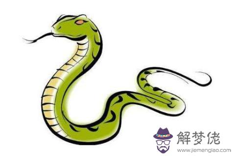 2、生肖蛇男人婚配屬相:男的屬蛇找什麼屬相的女的屬相合適呀