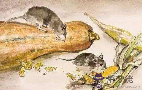 1、屬鼠女和虎女婚配好嗎:屬鼠男生和屬虎女生婚姻配嗎