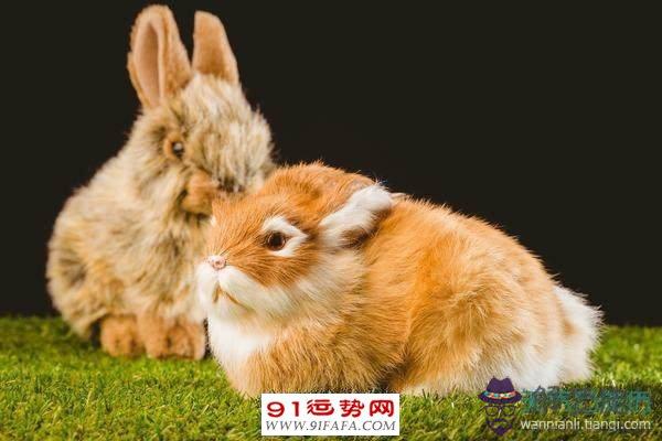 1、63年屬兔59年婚配:屬兔63年和什麼屬相最配