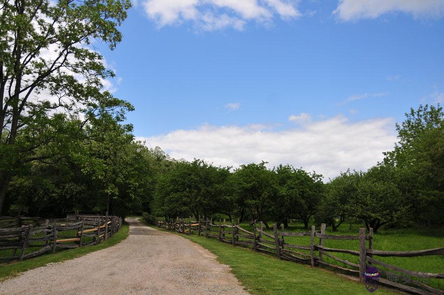 1、屬馬配屬猴婚配怎麼樣:屬馬和屬猴的相配嗎