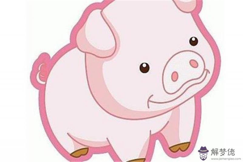 3、屬豬女和屬龍男婚配合適不:屬豬和屬龍的相配嗎