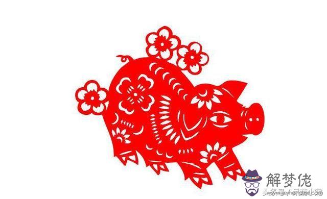 2、屬豬女和屬龍男婚配合適不:屬龍男屬豬女配嗎?